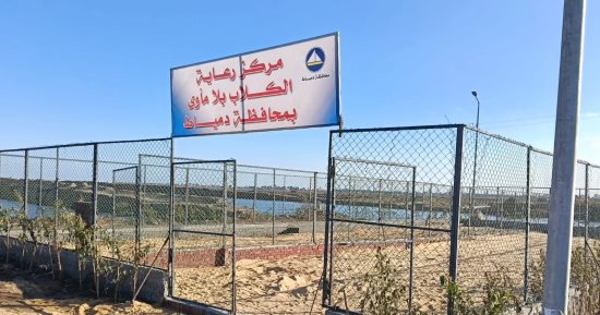 لأول مرة فى دمياط.. افتتاح مركز لرعاية الكلاب بلا مأوى بقرية الخياطة