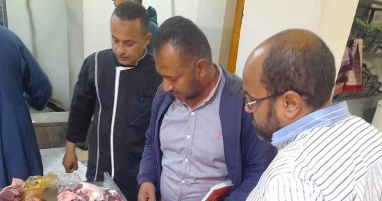 حملات على سلاسل المحال التجارية والمنشآت الغذائية والسياحية بأسوان