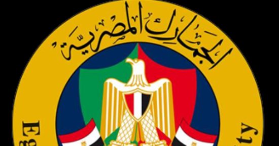 لو هتستورد خامات للتصنيع الداخلى..  اعرف قانون الجمارك هيقولك إيه