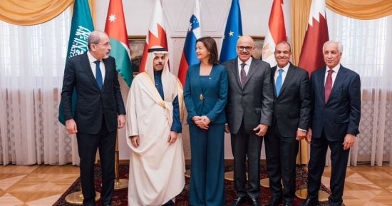 وزير الخارجية يشارك فى اجتماع اللجنة الوزارية العربية الإسلامية بشأن غزة