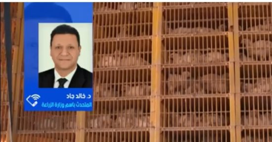 الزراعة تحسم الجدل وتكشف حقيقة البطيخ المسرطن وسبب ارتفاع أسعاره