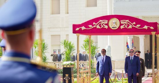 الرئيس السيسى يبحث مع نظيره الصومالى تثبيت السلم والاستقرار فى القرن الأفريقى
