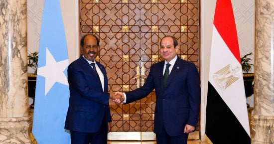 الرئيس السيسى: مصر مستعدة لمشاركة خبراتها فى مكافحة الإرهاب مع الصومال الشقيق
