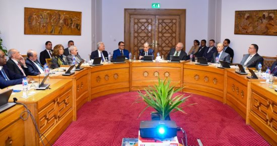 وزير الخارجية يلتقي سفراء مصريين سابقين متخصصين فى الشأن الافريقى