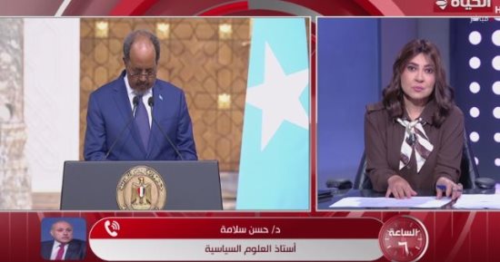 أستاذ علوم سياسية: أمن البحر الأحمر مسؤولية دول الجوار فقط ومصر لن تسمح بأي تدخلات خارجية