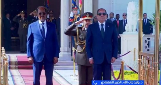 خبير: آفاق واعدة وتطور كبير للتعاون الاقتصادي المصري الصومالي