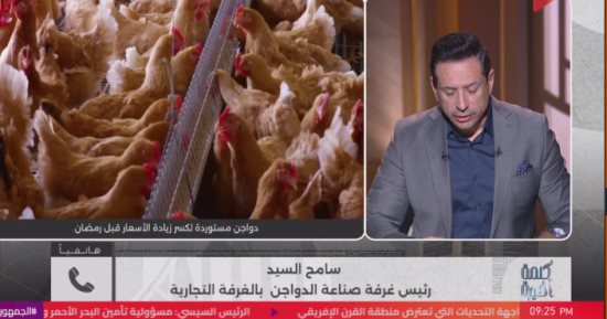 صناعة الدواجن: قرار استيراد الطيور يوازن الأسعار ويحد من الاستغلال