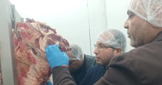 ضبط 7 أطنان لحوم ومقطعات دواجن غير صالحة للاستهلاك بحملة لبيطري القليوبية في العبور