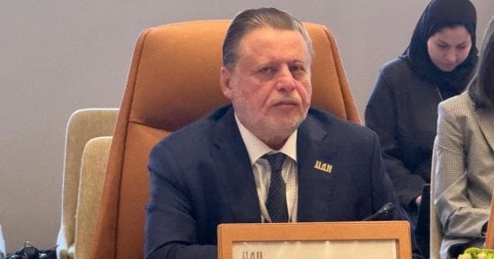 محافظ البنك المركزى يؤكد التزام مصر بدعم التكامل الاقتصادى الأفريقى