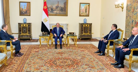 الرئيس السيسى يؤكد أهمية تثبيت اتفاق وقف إطلاق النار فى غزة وتنفيذ المرحلة الثانية