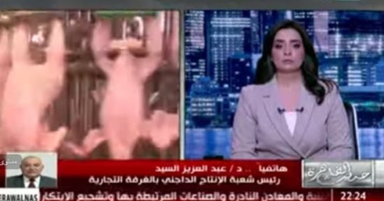 الغرفة التجارية: ارتفاع أسعار الدواجن غير طبيعي ومحاسبة كبار المنتجين ضرورة
