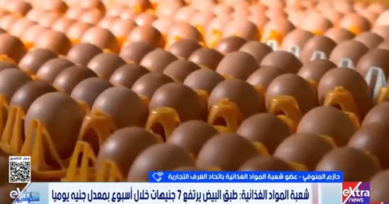 الغرف التجارية: 130 جنيها السعر العادل لطبق البيض والزيادة 7 جنيهات
