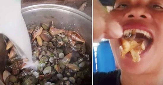 فخ اللايك: 6 مؤثرين رحلوا فى 60 يوماً.. هكذا سرق التريند أرواحهم