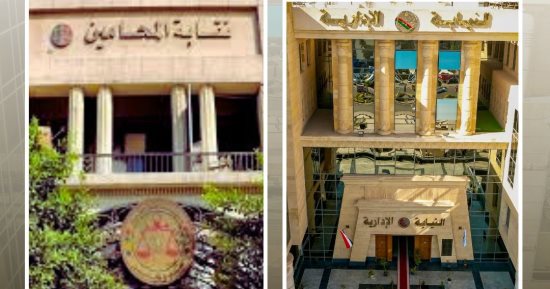 النيابة الإدارية تشرف قضائيا على إعادة المرحلة الثانية لانتخابات المحامين الفرعية