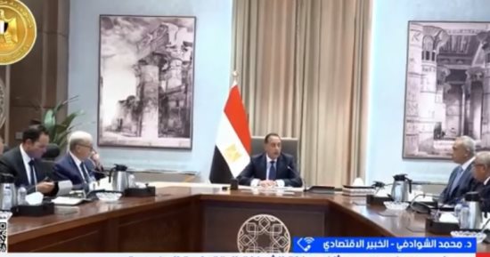 خبير اقتصادى: هيكلة الشركات الحكومية تمنح البورصة زخما وتجذب استثمارات