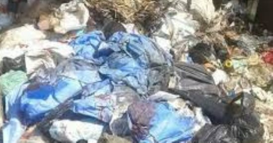 واقعة "أجنة المنيا" تمثل خرقا لـ6 مواد قانونية في قانون المخلفات الطبية