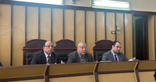 جنايات بورسعيد تحيل أوراق سائق إلى المفتى لاتهامه بقتل زوجته فى الضواحى