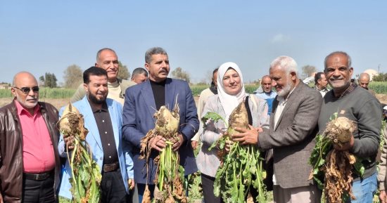 زراعة الإسماعيلية تعلن انطلاق موسم حصاد بنجر السكر فى أبوصوير 