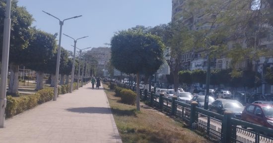 نشاط للرياح وسطوع الشمس طقس المنيا الآن.. فيديو
