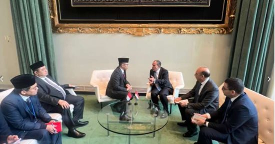 وزير الخارجية يشيد بالشراكة الاستراتيجية بين مصر وإندونيسيا