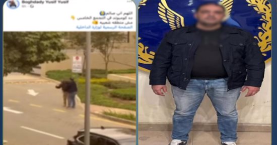 القبض على صاحب مصنع لاعتدائه على فرد أمن بكمبوند في القاهرة الجديدة.. فيديو