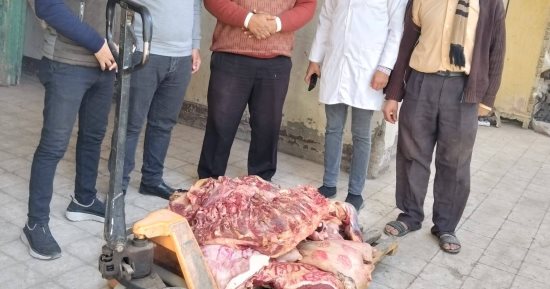 471 مخالفة تموينية فى أسبوع واحد بسوهاج.. صور