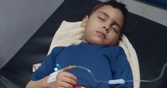قطيع من الكلاب الضالة ينهشون جسد طفل فى دمنهور.. اعرف التفاصيل  