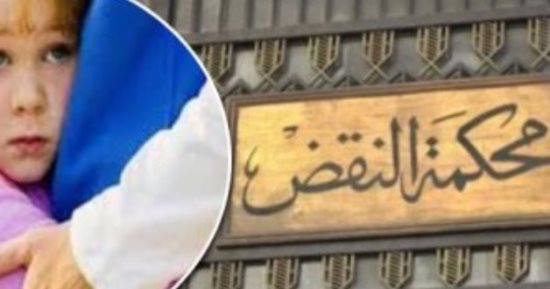 تحويل الأب للجنايات فى اتهامه بخطف ابنه من الحاضنة فى هذه الحالة.. برلمانى