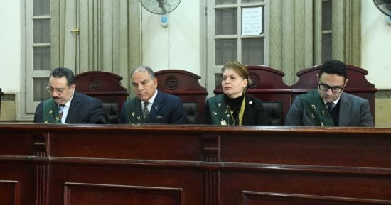 على خطى قضية الطفل ياسين.. المؤبد لعامل هتك عرض طفل بقصر النيل
