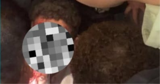 استجواب المتهم بقيادة سيارة تحمل علم إسرائيل ودهس عدد من الأشخاص بكرداسة