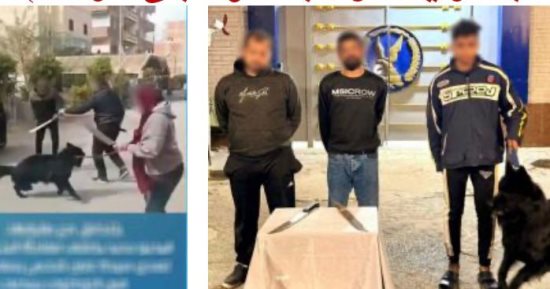 خناقة الكلب والساطور.. كواليس فيديو معركة الكوافير وطليقها بسبب حضانة طفل
