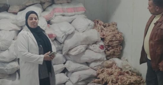 ضبط 5 طن دواجن مجمدة مجهولة المصدر وغير صالحة للاستهلاك الآدمي