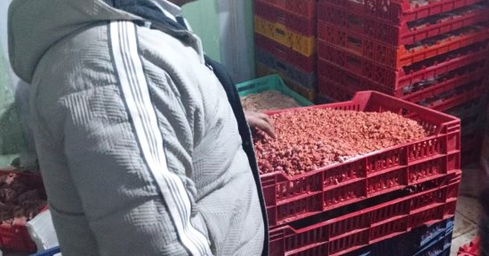 محافظ الدقهلية ضبط 1.7 طن منتجات لحوم غير صالحة فى حملة للطب البيطرى