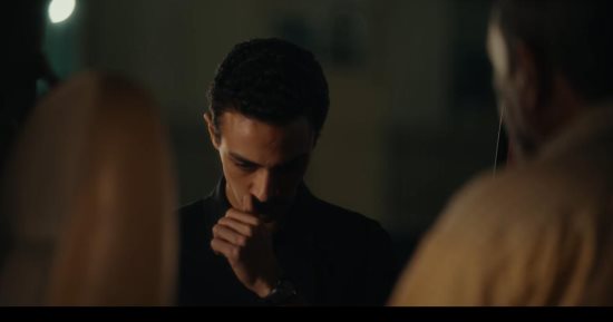 من وحى مسلسل رأس الأفعى.. قدسية القطط عند المصريين القدماء