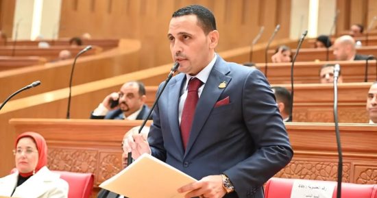 النائب إسلام التلوانى: جهود لدعم الجاليات المصرية وسط التوترات الإقليمية