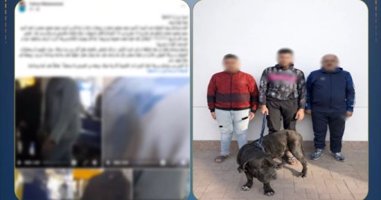 بلطجة بـ«كلب».. الأمن يكشف حقيقة فيديو التعدى على سيدة بالمنتزه