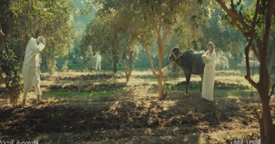 مسلسل النص التاني الحلقة 1.. الجاموسة «نوجا» بتصرف على البيت