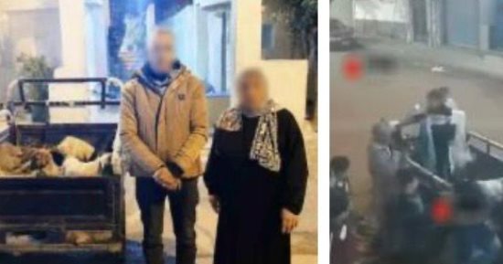 فيديو شوال الكلاب بالإسكندرية يقود الأمن لضبط المتهمين بتهديد حياة الحيوان