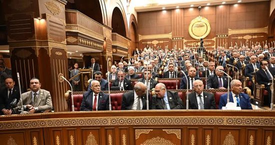 النائبة سوزى سمير: زيادة المعلمين والقطاع الصحى تعكس اهتمام الدولة بالمواطن