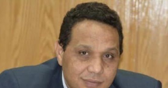 ولاء جاد الكريم: نقلة نوعية في تداول قضية الأعمال التجارية وحقوق الإنسان بمصر
