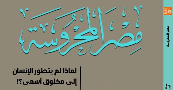 قراءات نقدية في أزمة الفهم العلماني في العدد الجديد من مجلة مصر المحروسة
