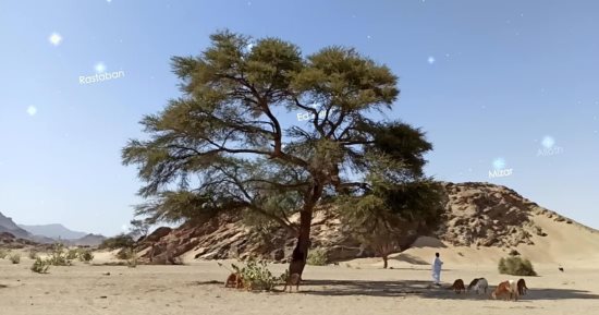من الثريا إلى سهيل.. النجوم بوصلة الأودية الجبلية والبحر.. كيف يهتدى أهل البادية والصيادون بنجوم الصحراء الشرقية لمعرفة الطريق والاتجاهات.. وكشف أسرار طريقتهم لمعرفة سقوط المطر ودرجات الحرارة.. صور