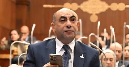 نائب بمجلس الشيوخ: مصر تعمل على منع التصعيد العسكرى فى المنطقة