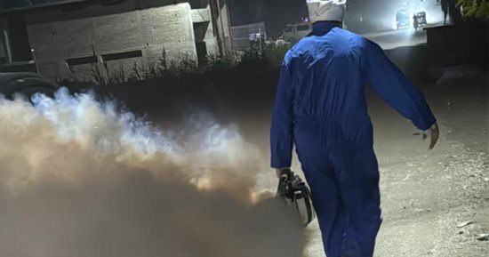 مديرية الصحة بالأقصر تكثف حملات مكافحة الحشرات الطائرة للحفاظ على الصحة العامة