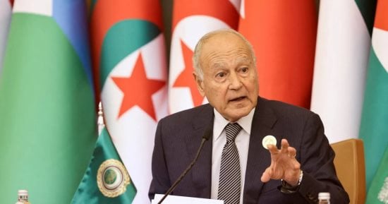 أبو الغيط يرحب باتفاق تبادل الأسرى والمحتجزين فى اليمن