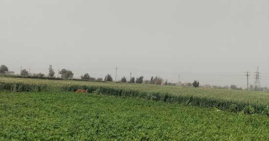 طقس غير مستقر وياح محملة بالأتربة واختفاء الشمس لفترات طويلة فى المنيا.. فيديو