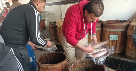 نبروه.. عاصمة الفسيخ بمصر تشهد زحامًا قبل عيد الفطر (فيديو وصور)