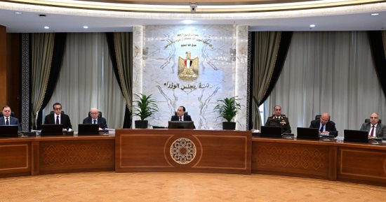 مدبولى: مواجهة أى محاولات للتعدى على أملاك الدولة أو البناء على الزراعة 