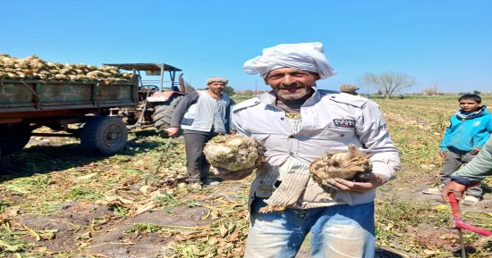 رحلة كفاح من أجل اللقمة الحلال .. العم "عزت " 70 عاما من العمل في الغيطان بحثا الرزق الحلال
