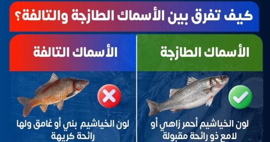 الصحة توضح كيفية التفرقة بين الأسماك الطازجة والفاسدة لحماية المواطنين
